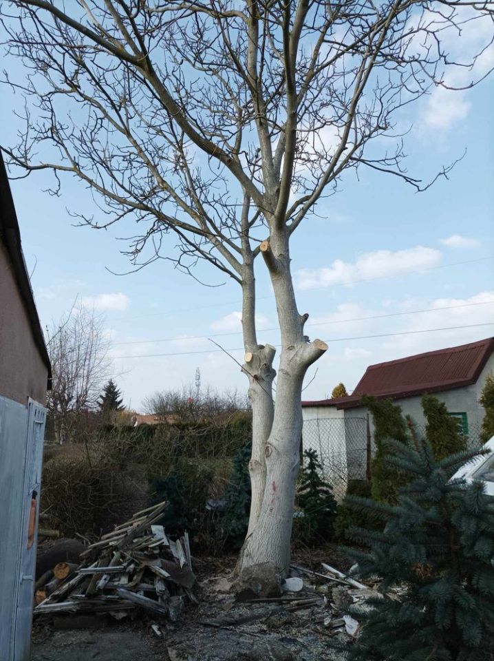 Działka rod Gorzów Wielkopolski. Zdjęcie 8