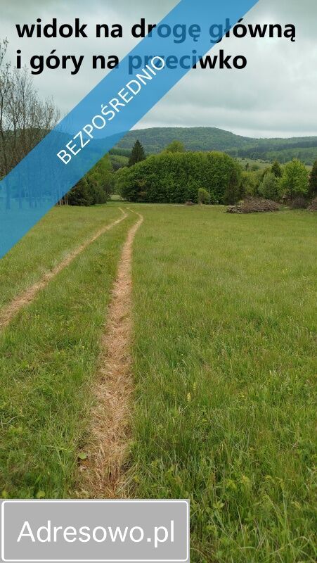 Działka Wysowa-Zdrój. Zdjęcie 8