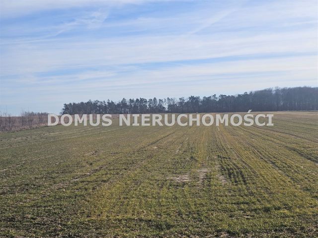 Działka Polik. Zdjęcie 2