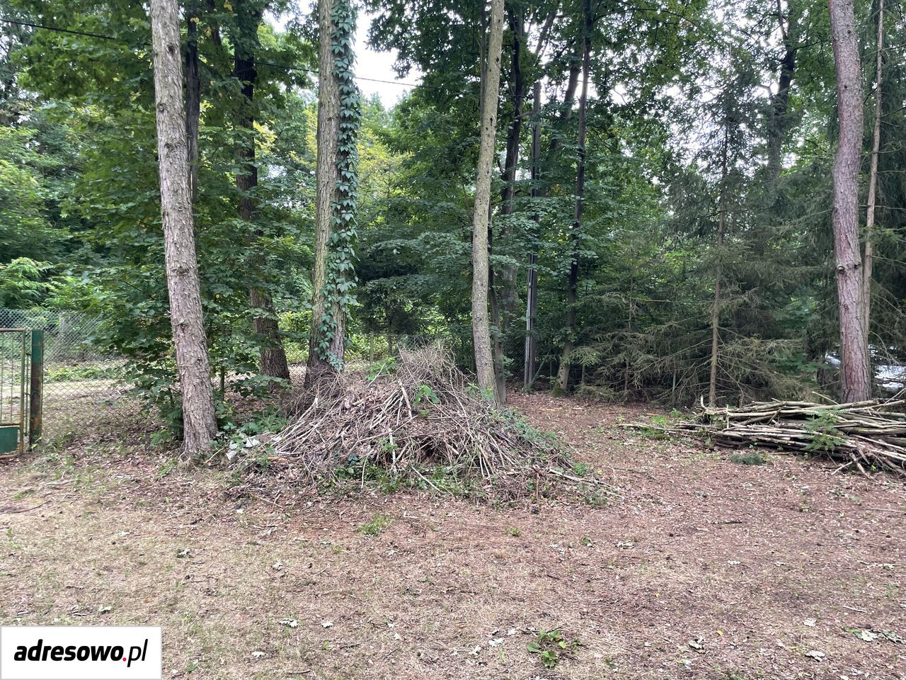 Działka rekreacyjna Popowo-Parcele, ul. Dębowa. Zdjęcie 11