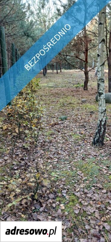 Działka budowlana Karolinowo. Zdjęcie 4