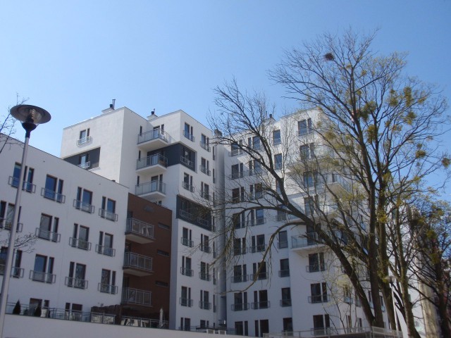 Mieszkanie 1-pokojowe Toruń Bydgoskie Przedmieście, os. Sztuk Pięknych. Zdjęcie 1