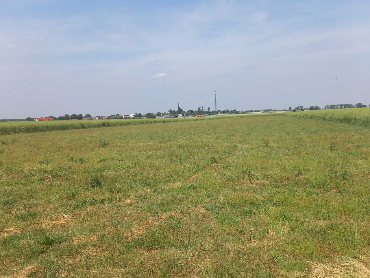 Działka budowlana Przemocze. Zdjęcie 4