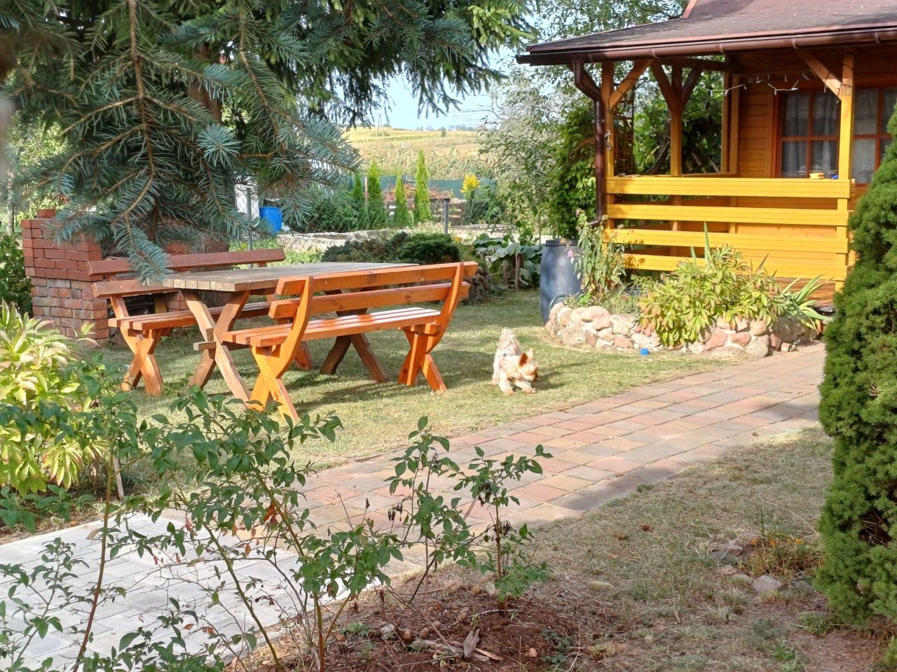 Działka rod Augustów. Zdjęcie 3