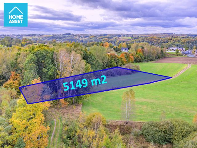 Działka budowlana Borzestowo Zajezierze. Zdjęcie 1