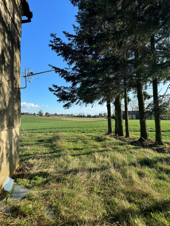 dom wolnostojący Alojzów. Zdjęcie 6