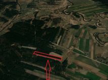 Działka leśna Sudzin. Zdjęcie 2