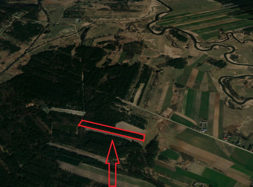 Działka leśna Sudzin. Zdjęcie 3