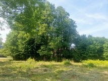 Działka siedliskowa Przystawy. Zdjęcie 2