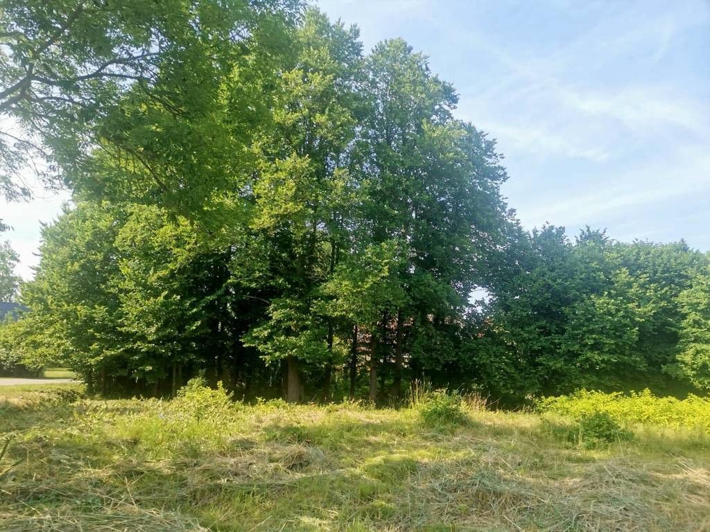 Działka siedliskowa Przystawy. Zdjęcie 3