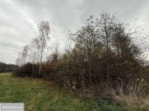 Działka budowlana Jasień, ul. Jagodowa. Zdjęcie 3