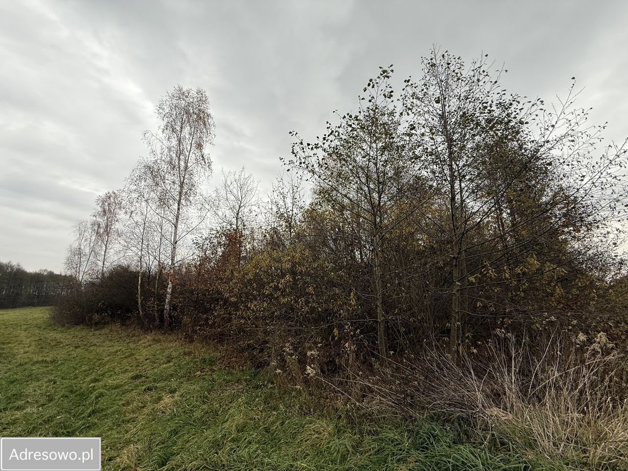 Działka budowlana Jasień, ul. Jagodowa. Zdjęcie 4