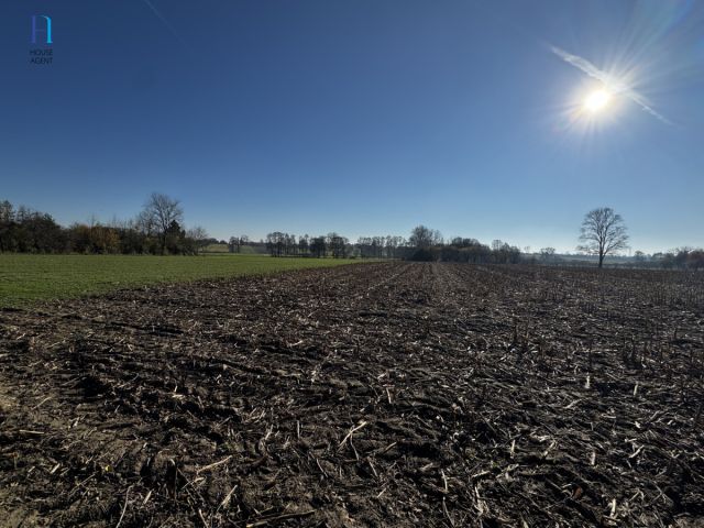 Działka siedliskowa Kolonia Łaznów. Zdjęcie 3