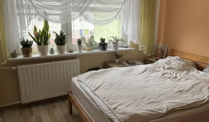 Mieszkanie 2-pokojowe Lidzbark Warmiński, ul. Ornecka