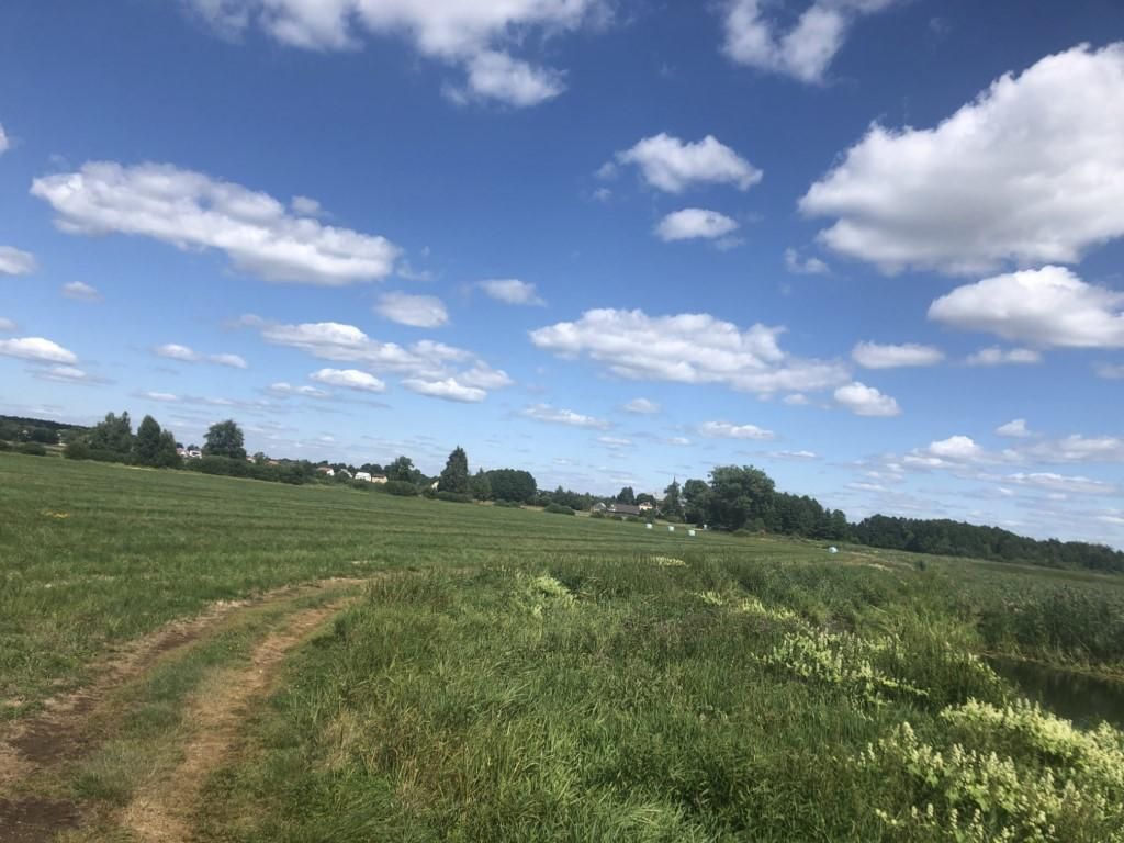 Działka rolna Sztabin, brak. Zdjęcie 4