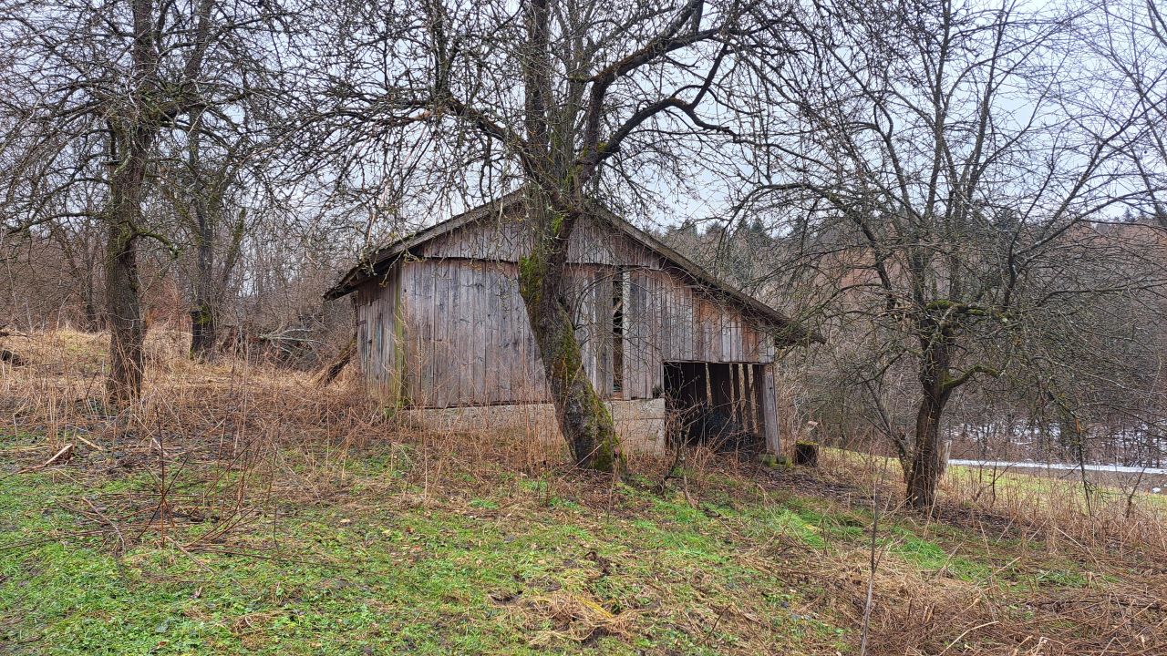 siedlisko Wola Krzywiecka Kamionka. Zdjęcie 4