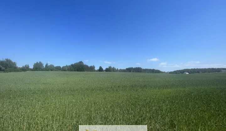 Działka Bielkówko, ul. Studzienna