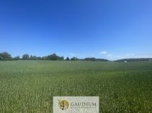 Działka Bielkówko, ul. Studzienna