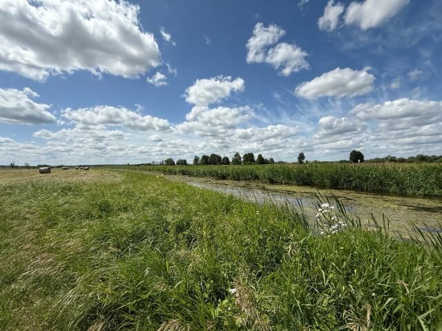 Działka budowlana Zielkowo. Zdjęcie 11