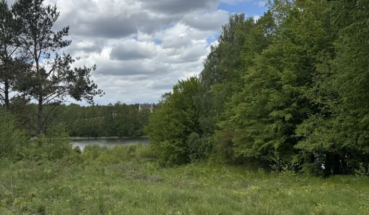 Działka rekreacyjna Borzechowo