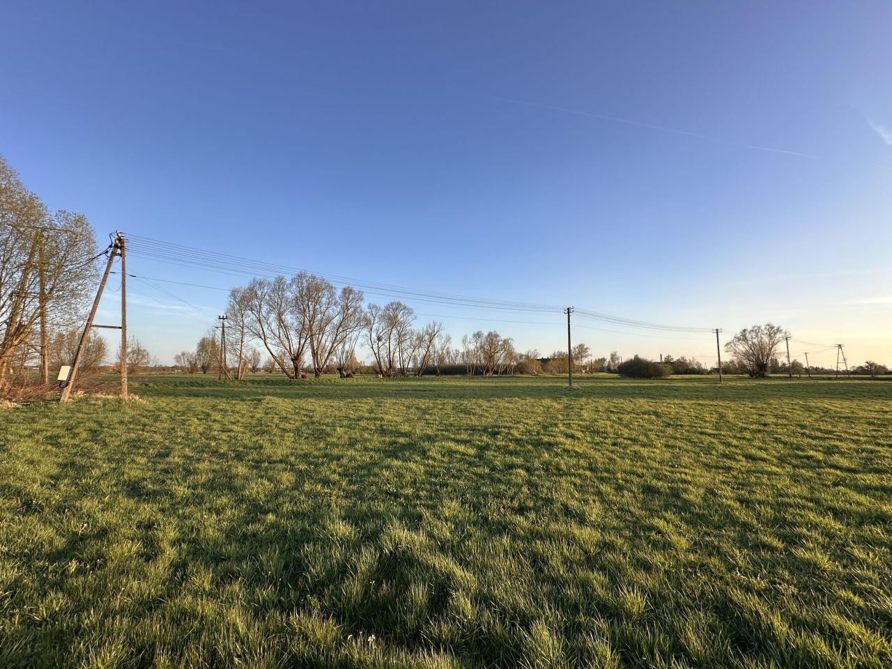 Działka budowlana Przynotecko. Zdjęcie 14