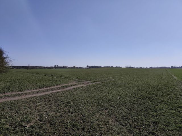 Działka rolna Jerzykowo. Zdjęcie 5