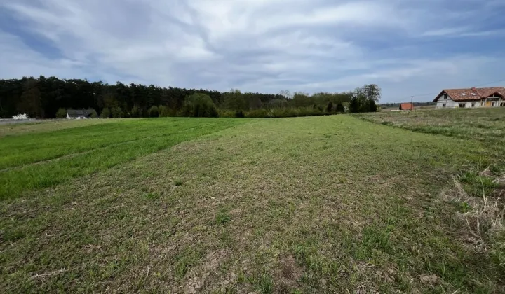 Działka budowlana Susz