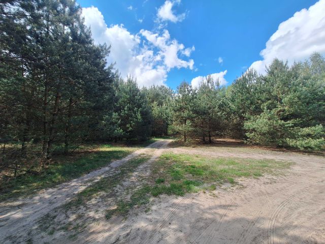 Działka rolna Zarzęcin. Zdjęcie 1