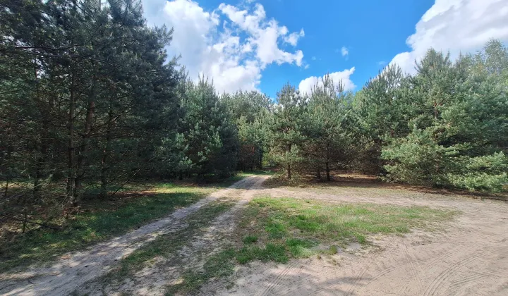 Działka rolna Zarzęcin