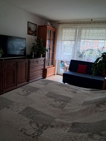 Mieszkanie 1-pokojowe Częstochowa Centrum. Zdjęcie 1