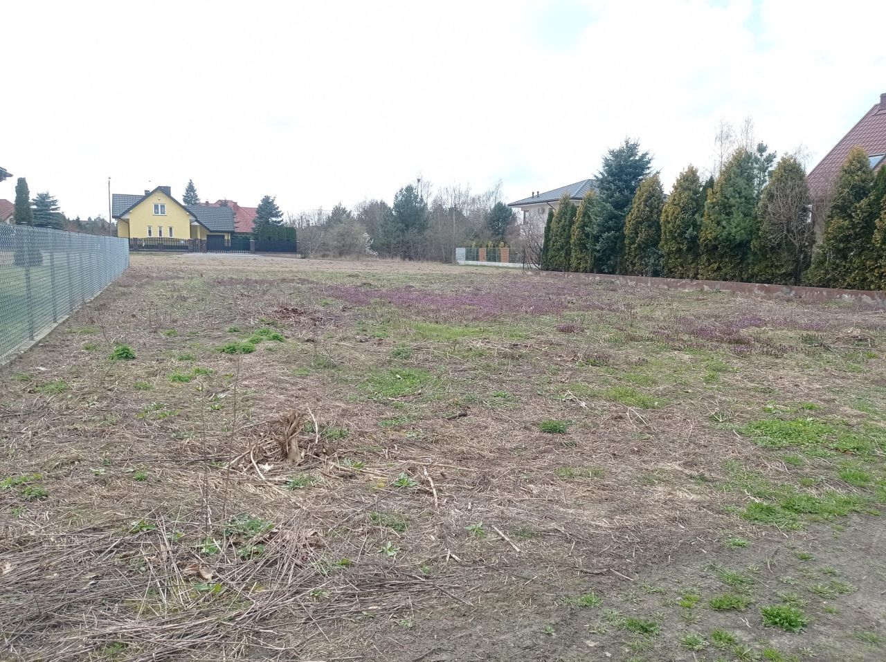 Działka budowlana Rybienko Nowe, ul. Pszczółki Mai. Zdjęcie 4