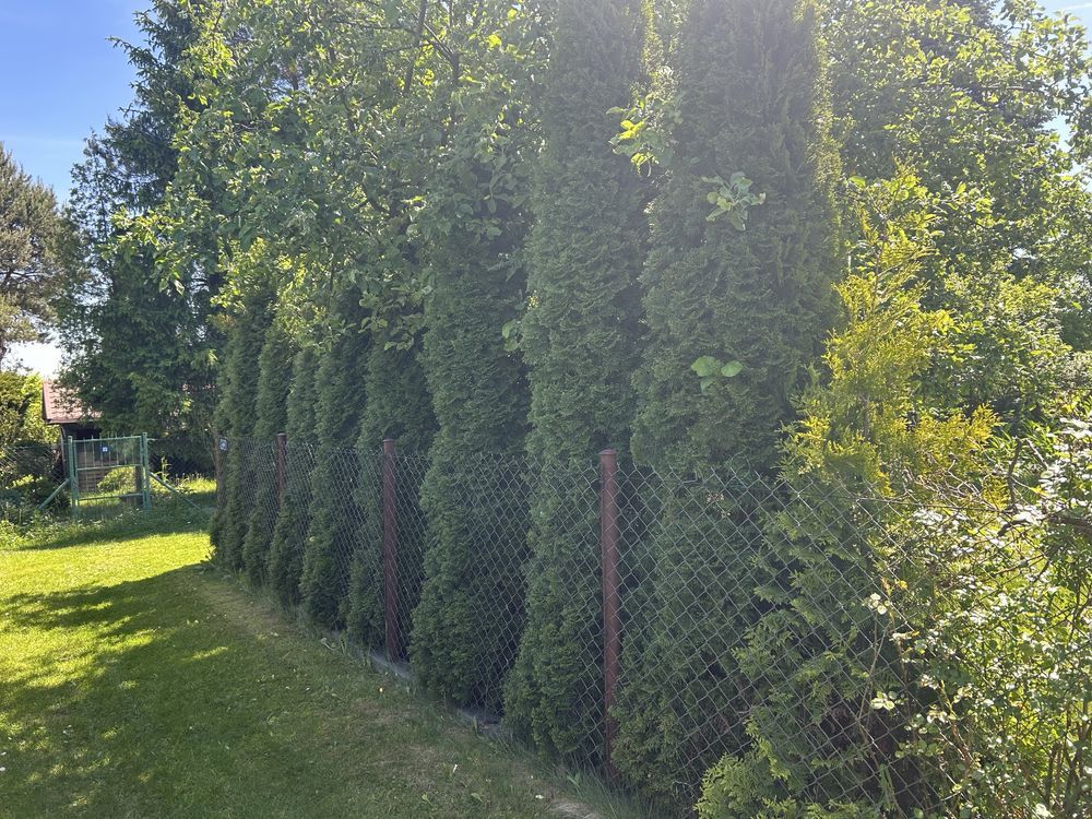 Działka rod Mysłowice, ul. Podgórska. Zdjęcie 8