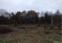 Działka budowlana Owczarnia, ul. Wandy. Zdjęcie 2