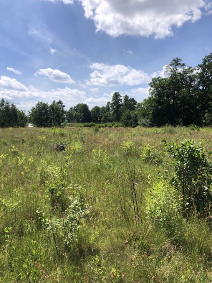 Działka budowlana Benenard, ul. Bukowa. Zdjęcie 6