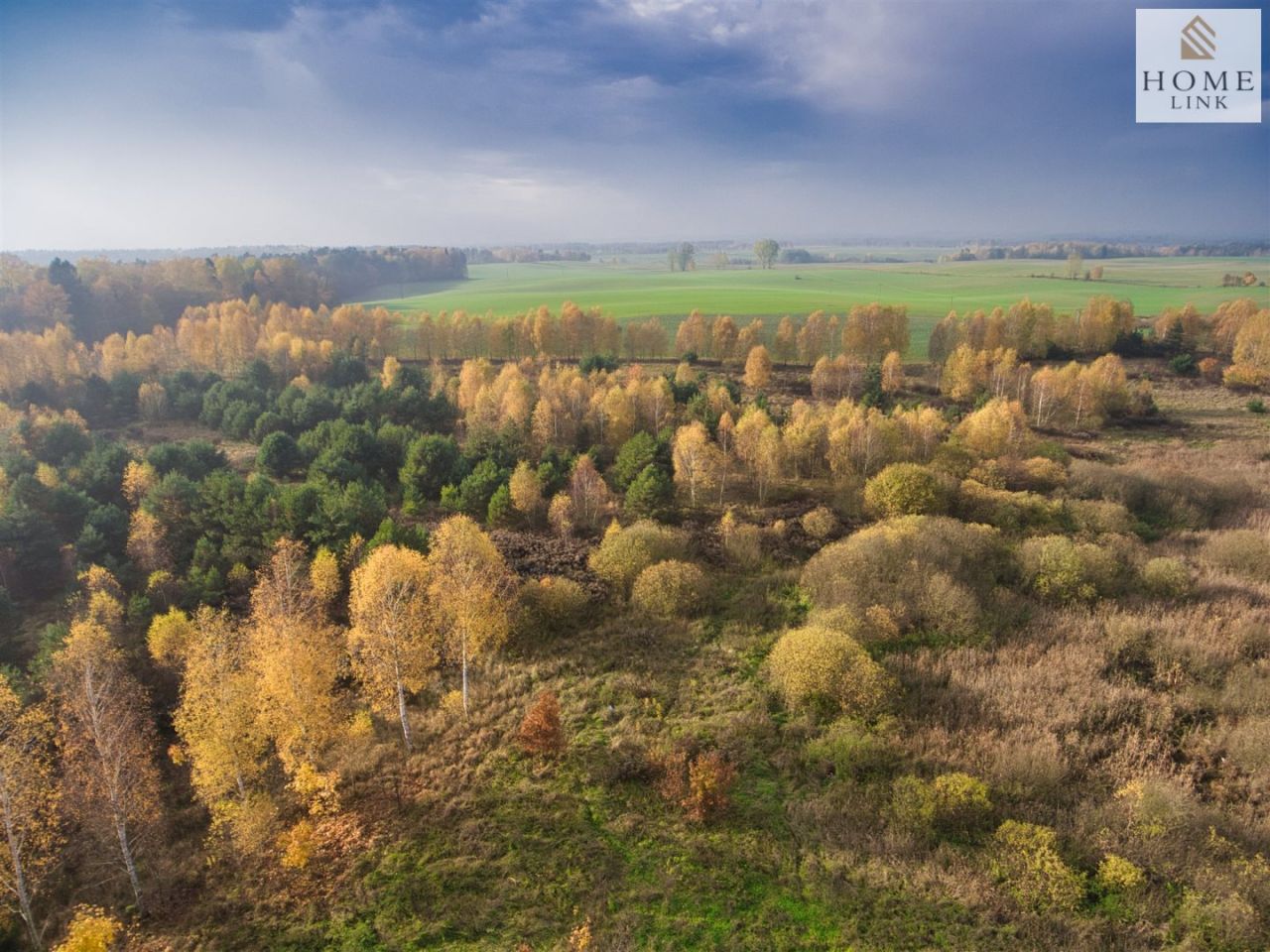 Działka siedliskowa Samin. Zdjęcie 6