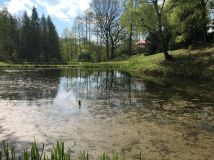 Działka rekreacyjna Mszana Boża Góra, ul. Boża Góra. Zdjęcie 2