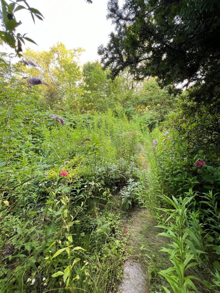 Działka rod Warszawa Mokotów, ul. Racławicka. Zdjęcie 5