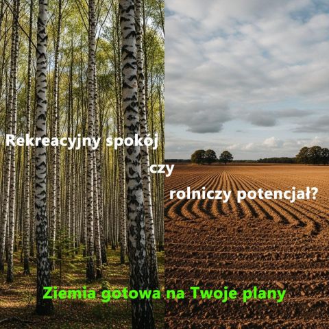 Działka rolna Nadułki-Majdany. Zdjęcie 1