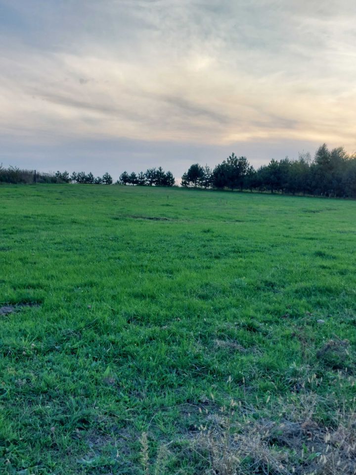 Działka budowlana Rybnik Chwałęcice. Zdjęcie 3