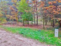 Działka rekreacyjna Osłonin, ul. Leśna. Zdjęcie 2