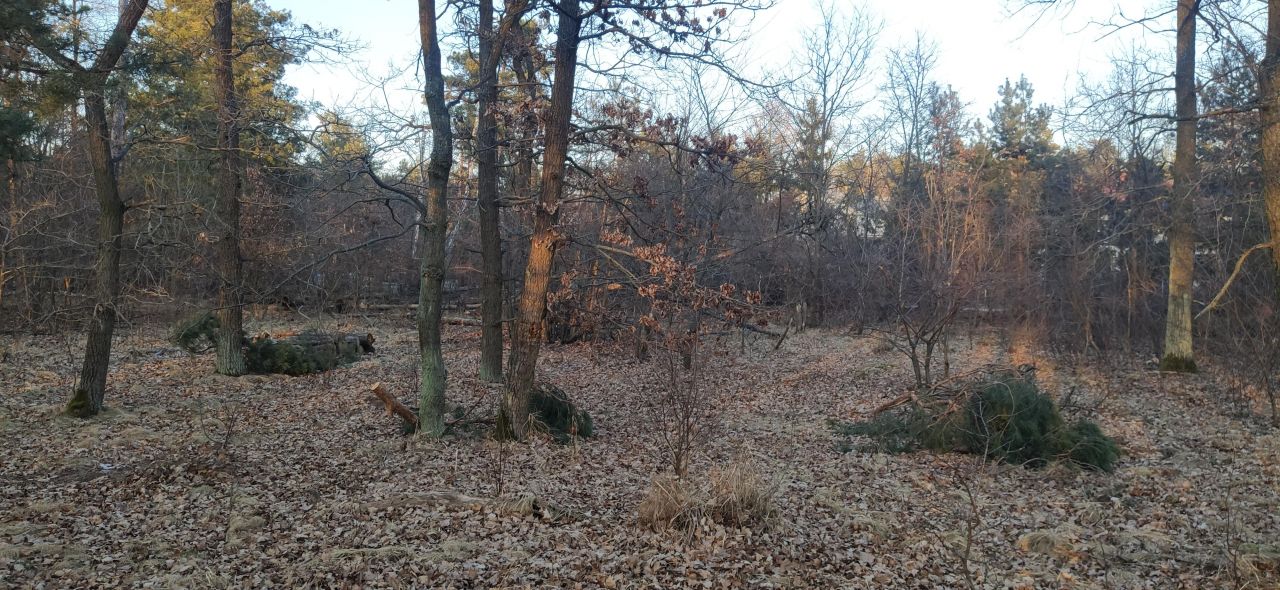 Działka leśna Warszawa Białołęka, ul. Insurekcji. Zdjęcie 3