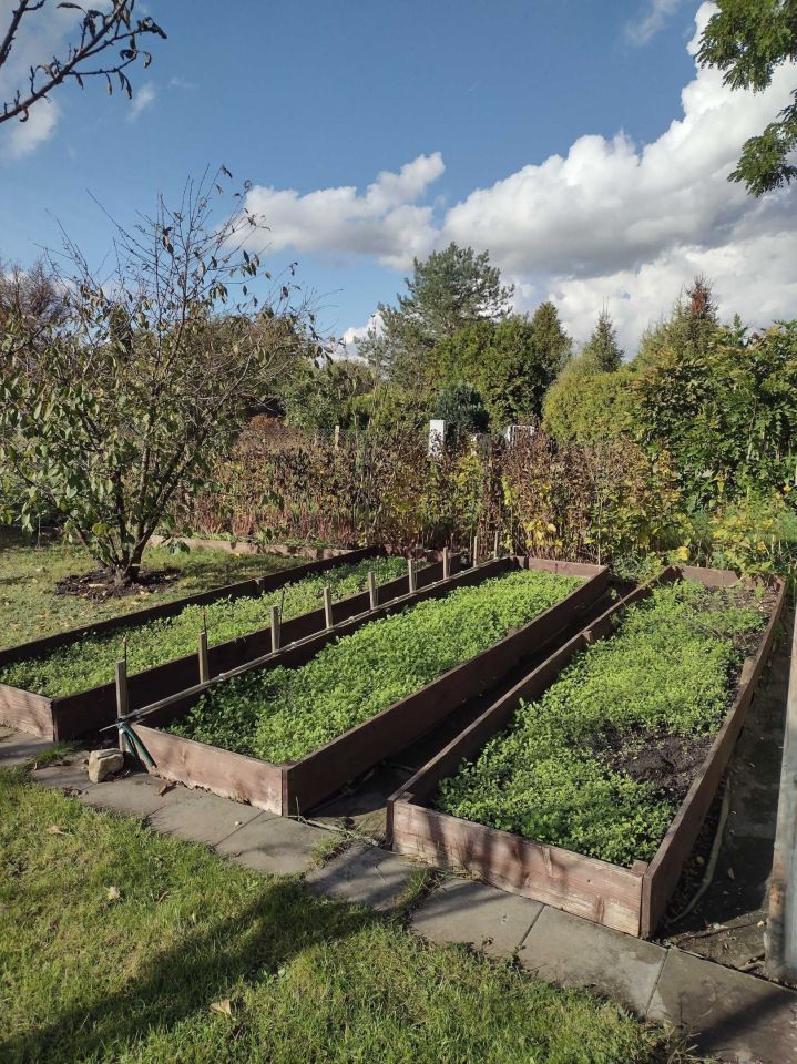 Działka rekreacyjna Wrocław Stare Miasto, al. gen. Józefa Hallera