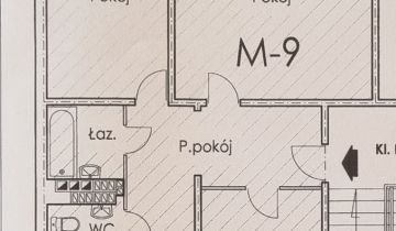 Mieszkanie 3-pokojowe Pionki, ul. Leśna