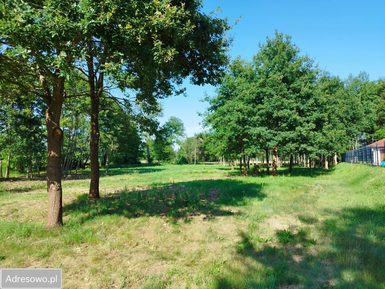 Działka budowlana Rokitki. Zdjęcie 6