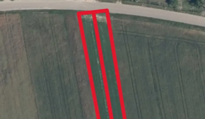 Działka rolno-budowlana Borki Siedleckie, ul. Wrzosowa