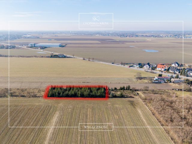 Działka rolna Łowęcin, ul. Sarbinowska. Zdjęcie 3