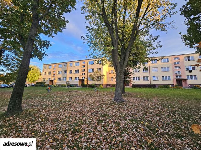Mieszkanie 3-pokojowe Ciechanów, ul. Adama Asnyka. Zdjęcie 1