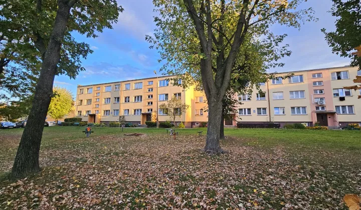 Mieszkanie 3-pokojowe Ciechanów, ul. Adama Asnyka