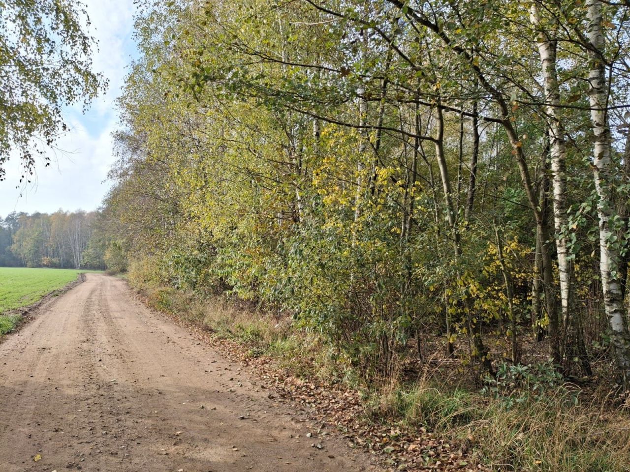 Działka rolna Wyrąb Karwacki. Zdjęcie 5