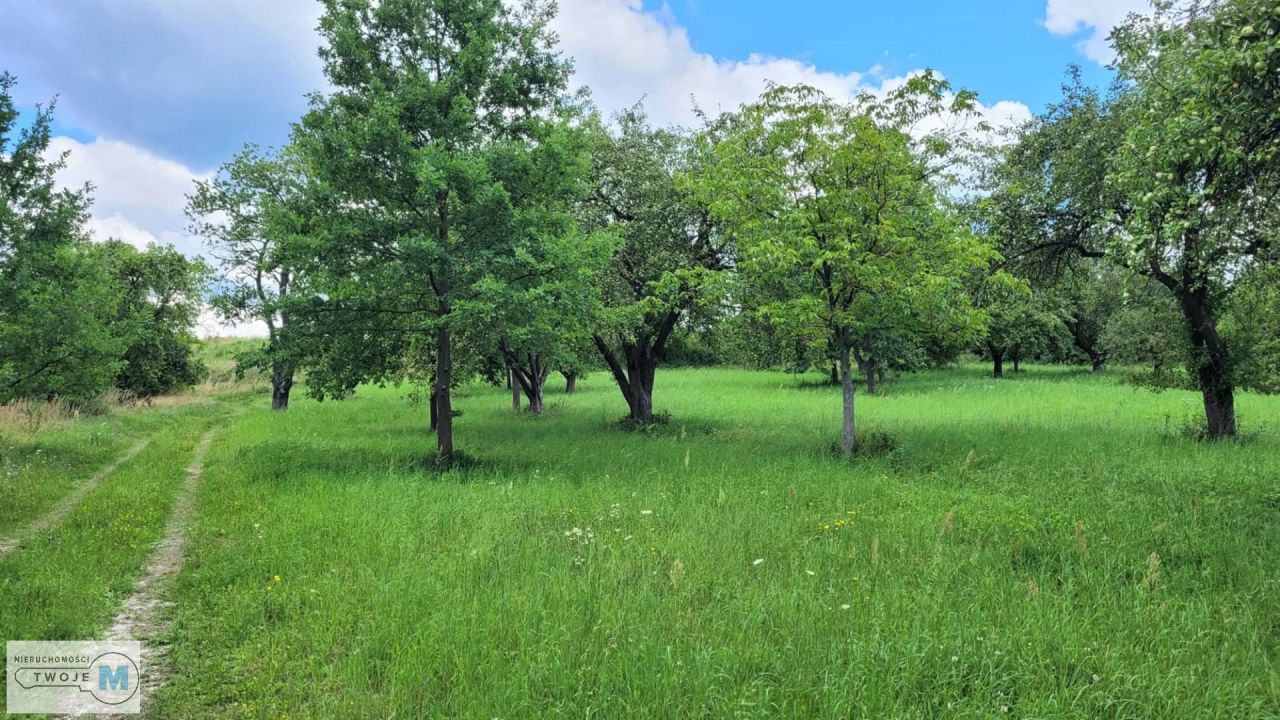 dom wolnostojący, 7 pokoi Morawica. Zdjęcie 18